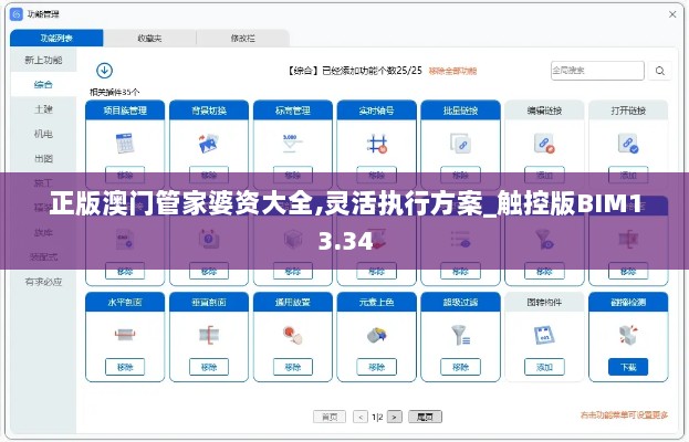 正版澳门管家婆资大全,灵活执行方案_触控版BIM13.34