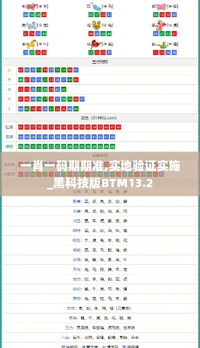 一肖一码期期准,实地验证实施_黑科技版BTM13.2