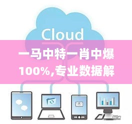 一马中特一肖中爆100%,专业数据解释设想_影音版YDS13.1