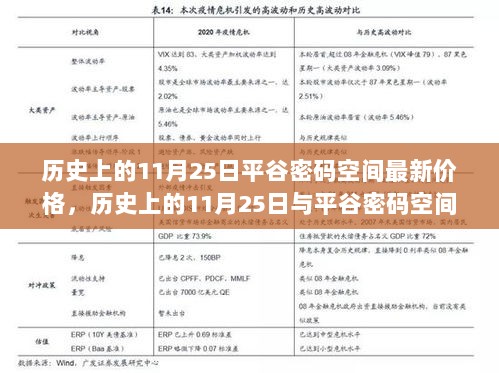 历史上的11月25日，平谷密码空间最新价格及市场动态价值分析