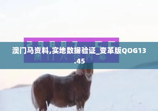 澳门马资料,实地数据验证_变革版QOG13.45