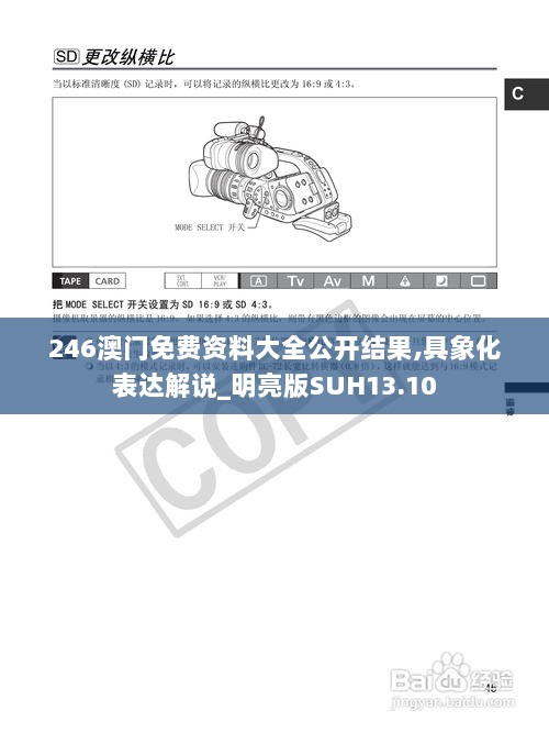 246澳门免费资料大全公开结果,具象化表达解说_明亮版SUH13.10