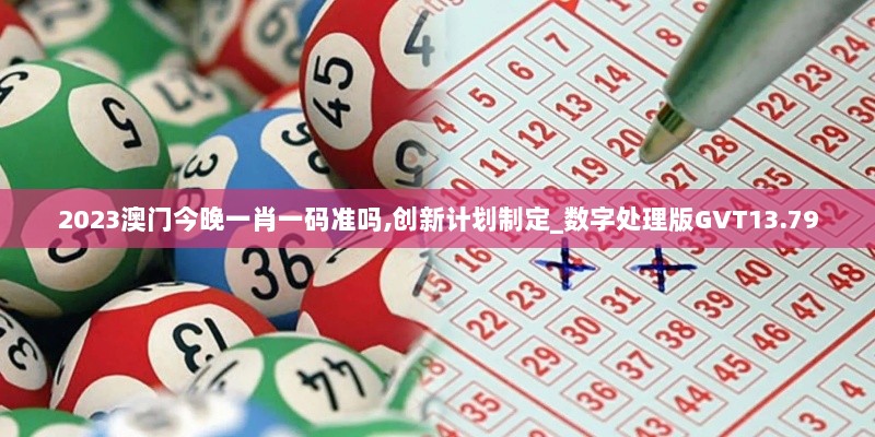 2023澳门今晚一肖一码准吗,创新计划制定_数字处理版GVT13.79