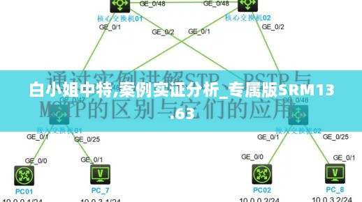 白小姐中特,案例实证分析_专属版SRM13.63