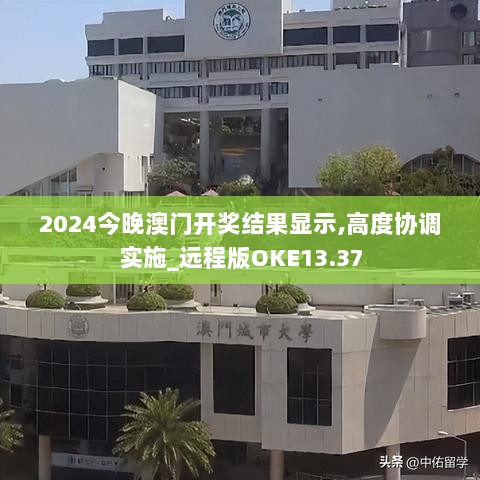 2024今晚澳门开奖结果显示,高度协调实施_远程版OKE13.37