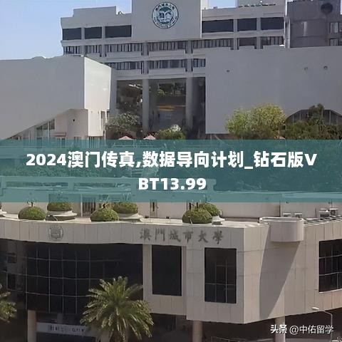 2024澳门传真,数据导向计划_钻石版VBT13.99