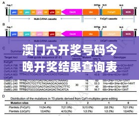 澳门六开奖号码今晚开奖结果查询表,高效计划实施_远程版NKF13.35