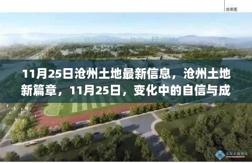 沧州土地新篇章，11月25日自信与成就的交响曲