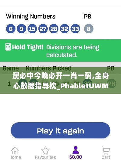 澳必中今晚必开一肖一码,全身心数据指导枕_PhabletUWM13.27