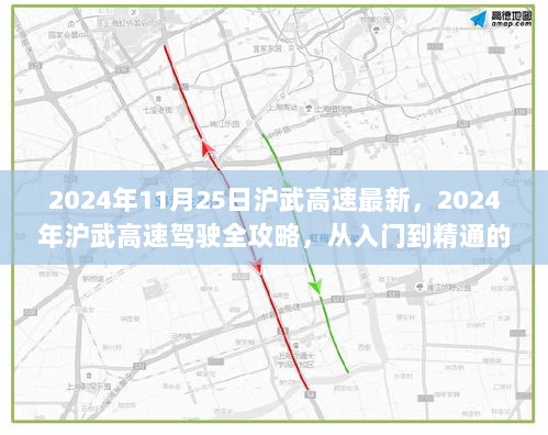 2024年沪武高速驾驶全攻略，从入门到精通的步骤指南（最新版）