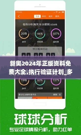 新奥2024年正版资料免费大全,执行验证计划_多功能版YPA13.75