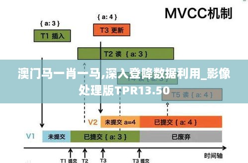 澳门马一肖一马,深入登降数据利用_影像处理版TPR13.50