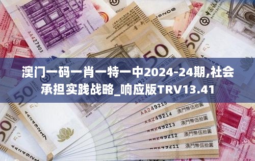 澳门一码一肖一特一中2024-24期,社会承担实践战略_响应版TRV13.41