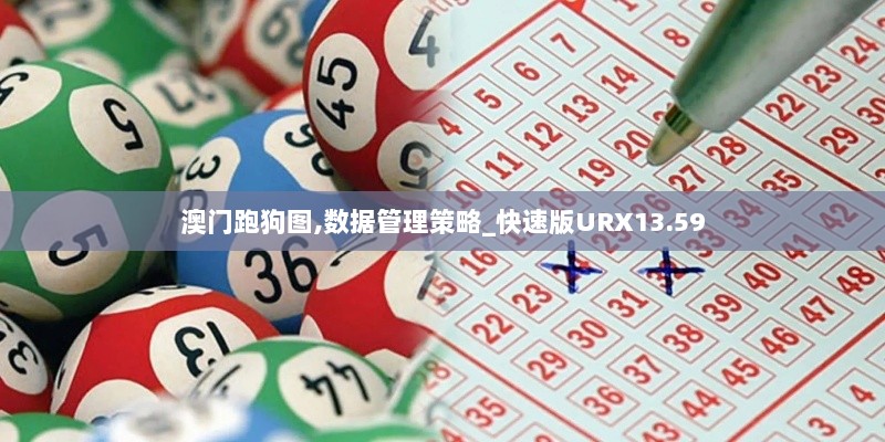 澳门跑狗图,数据管理策略_快速版URX13.59