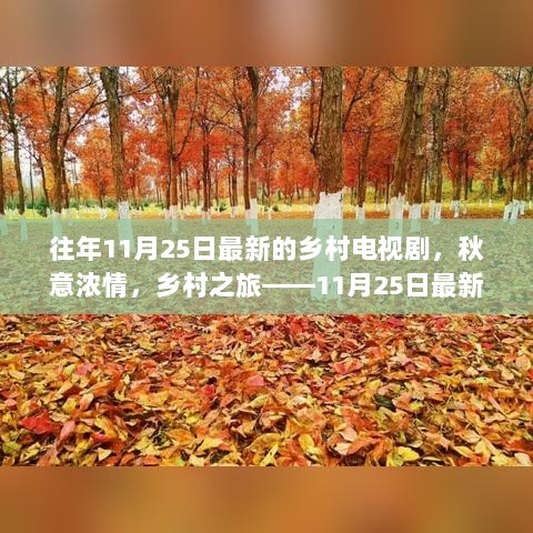 11月25日最新乡村电视剧，秋意浓情，发现内心的平静之旅