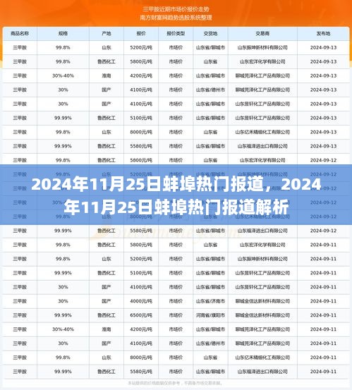 2024年11月25日蚌埠热门报道解析与总结