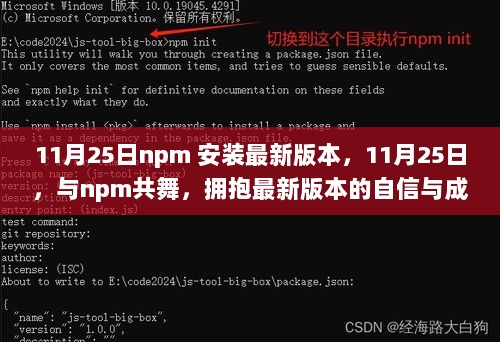 11月25日，与npm共舞，拥抱最新版本的自信与成就的喜悦