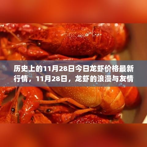 11月28日，龙虾的浪漫与友情的甜蜜，历史价格行情回顾