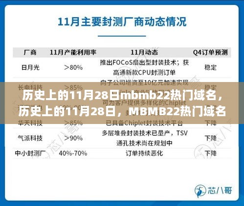 历史上的11月28日，MBMB22热门域名的回顾与解析