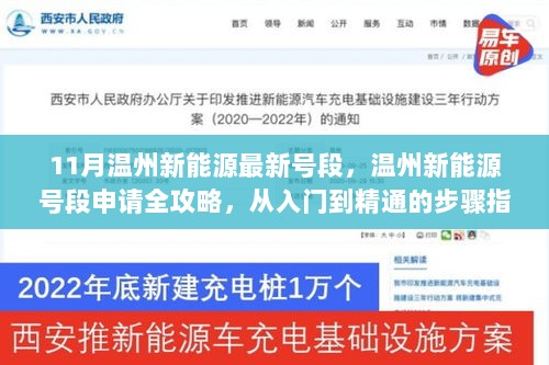 温州新能源号段申请全攻略，从入门到精通的步骤指南（11月最新版）