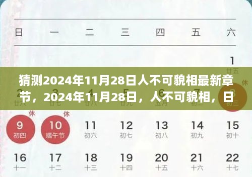 2024年11月28日，人不可貌相，日常温暖与陪伴的珍贵