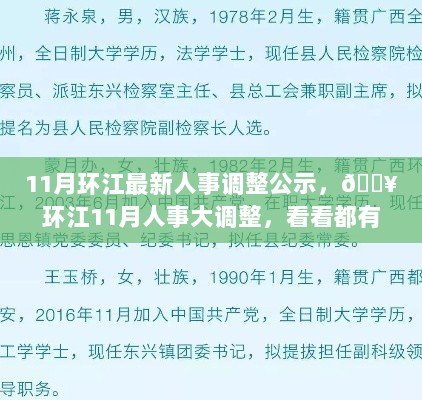 环江11月人事调整公示，新面孔一览