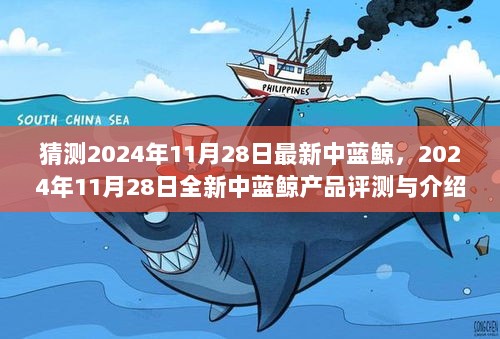 2024年11月28日中蓝鲸产品评测与介绍