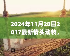 2024年与动物情头共度的温馨时光，2017最新情头动物记忆回顾