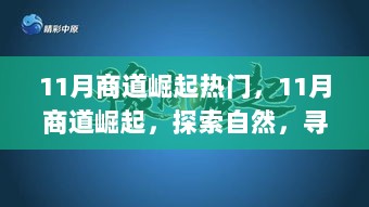 11月商道崛起，探索自然，寻找内心平静的热门之旅