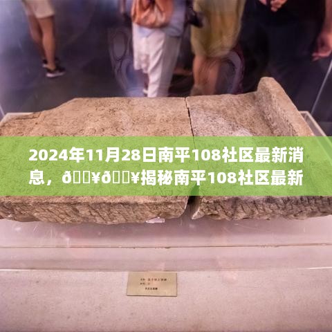 南平108社区最新动态全解析（2024年11月28日）揭秘！