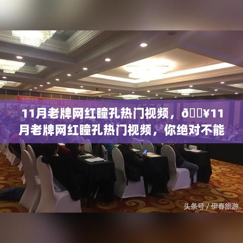 11月网红瞳孔热门视频盛宴，不容错过的视觉狂欢！