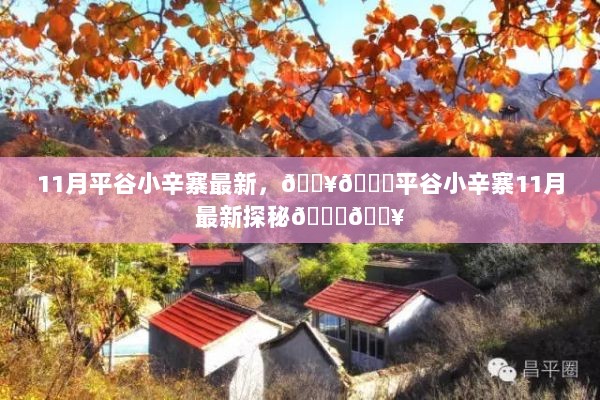 11月平谷小辛寨探秘之旅最新报道