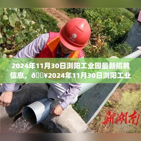 浏阳工业园2024年11月30日最新招聘信息，求职者的机遇指南