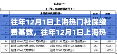 往年12月1日上海热门社保缴费基数全面解析