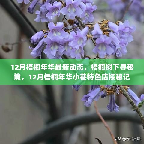 12月梧桐年华小巷特色店探秘记，梧桐树下寻秘境的最新动态