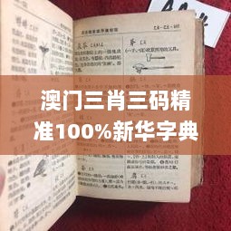 澳门三肖三码精准100%新华字典336期,公司决策资料_CLF57.288未来科技版