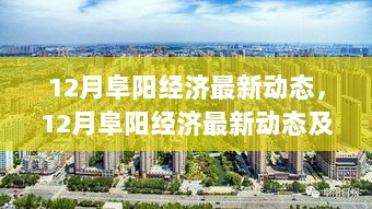 12月阜阳经济动态深度解析与产品评测