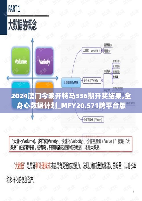 2024澳门今晚开特马336期开奖结果,全身心数据计划_MFY20.571跨平台版