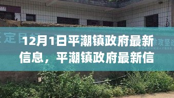 平潮镇政府12月1日最新信息，拥抱变化，收获自信与成就的璀璨光芒