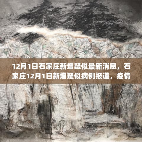 石家庄12月1日新增疑似病例报道，疫情下的城市印记与时代思考