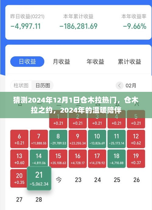 2024年仓木拉之约，热门事件与温暖陪伴的交汇点