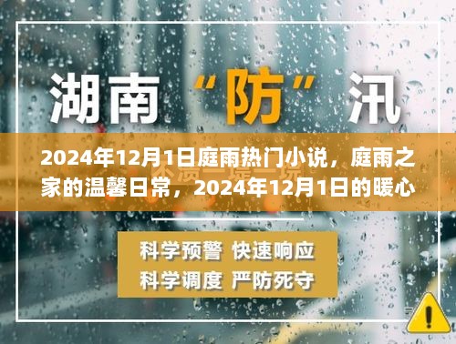 庭雨之家，2024年12月1日的暖心日常