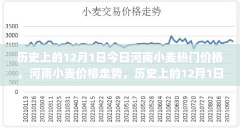 历史上的12月1日，河南小麦价格走势分析及其热门价格回顾