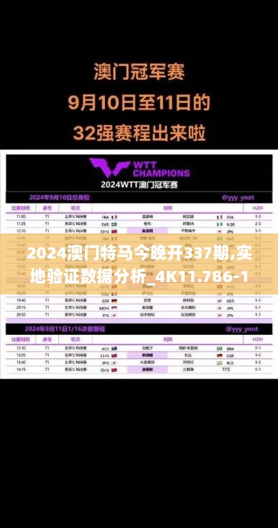 2024澳门特马今晚开337期,实地验证数据分析_4K11.786-1