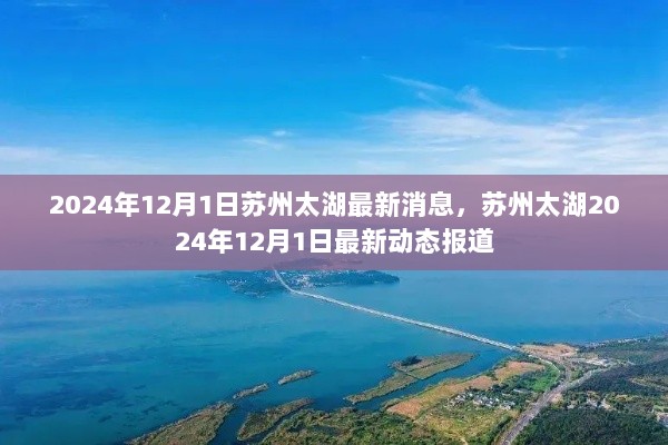 苏州太湖2024年12月1日最新动态报道与消息