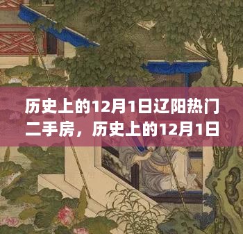 历史上的12月1日，辽阳热门二手房市场深度解析与体验报告