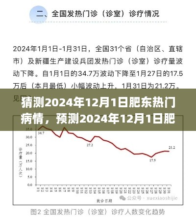 2024年12月1日肥东热门病情预测与病情分析报告