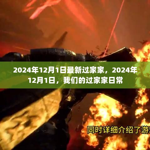 2024年12月1日，最新过家家日常记录