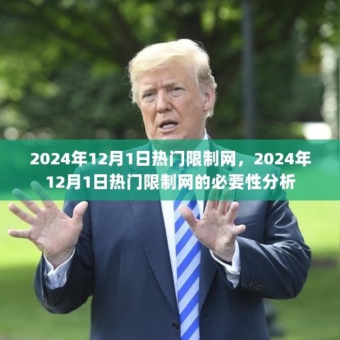 2024年12月1日热门限制网的必要性分析