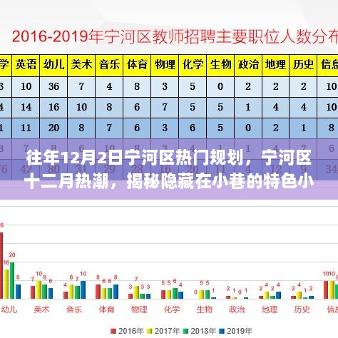 宁河区十二月热潮，揭秘隐藏在小巷的特色小店与热门规划新动向